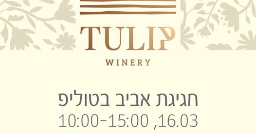 16.3.18tulip.jpg