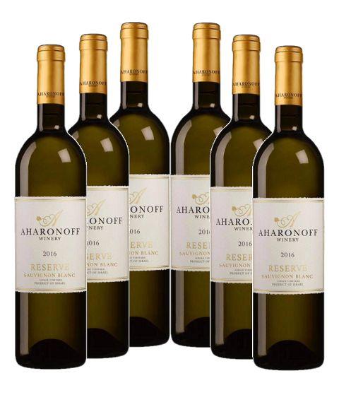 sauvignon Blank16