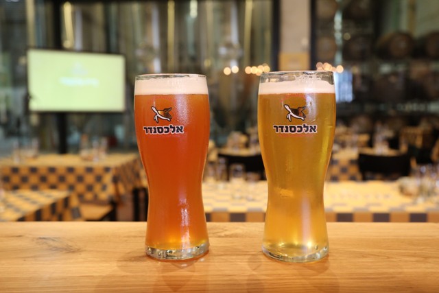 Alexander beer4