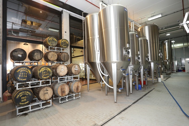 Alexander beer6
