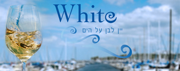 white16